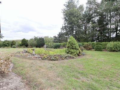 Picture 20